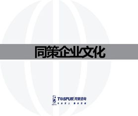 致客戶的承諾——做值得托付的房地產(chǎn)智囊\n副標題 某房地產(chǎn)咨詢服務(wù)公司企業(yè)文化重塑行動綱要文件（內(nèi)部審核版）\n\n**第2-3頁 我們的行業(yè)信念**\n? 房地產(chǎn)不僅是鋼筋水泥，更是城市靈魂的載體。“我們尊重每一塊土地的基因。”\n? 唯一不變的是變化與專業(yè)。核心命題 從增長邏輯轉(zhuǎn)向價值邏輯的生存之道。\n\n**第4-5頁 使命定義**\n我們存在的根本原因 “賦能不動產(chǎn)全周期，讓投資回歸價值本質(zhì)。”（注 在供給側(cè)改革與去金融化大背景下，幫助客戶甄別泡沫，專注抗周期真理。）\n\n**第6-8頁 戰(zhàn)略
