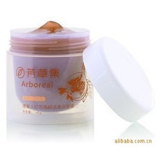 家居日用品 日常生活的美學與實用主義